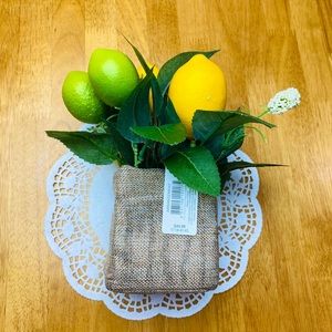 🍋Lemon Plant in Pot🍋